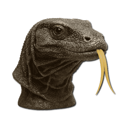 Komodo Dragon